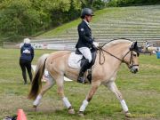 Pferd International 2026