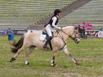 Pferd International 2026