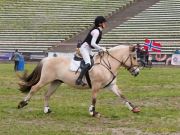 Pferd International 2026