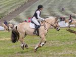 Pferd International 2026