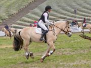 Pferd International 2026