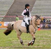 Pferd International 2026