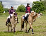 Pferd International 2026