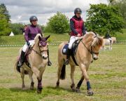 Pferd International 2026