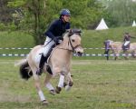 Pferd International 2026