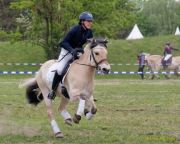 Pferd International 2026