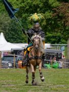 Pferd International 2026