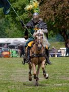 Pferd International 2026