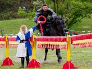 Pferd International 2026