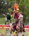 Pferd International 2026