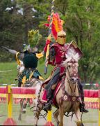 Pferd International 2026