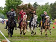 Pferd International 2026