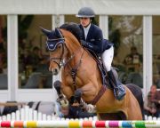 Pferd International 2026: Preis der Andechser Molkerei - CSIYH1Pferd International 2026 - 7 jährige Pferde