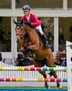 Pferd International 2026: Preis der Andechser Molkerei - CSIYH1Pferd International 2026 - 7 jährige Pferde