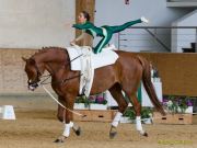 Pferd International 2026: Voltigieren
