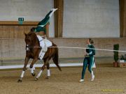 Pferd International 2026: Voltigieren