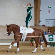 Pferd International 2026: Voltigieren
