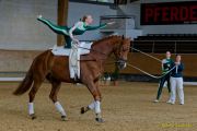 Pferd International 2026: Voltigieren