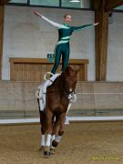 Pferd International 2026: Voltigieren
