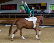 Pferd International 2026: Voltigieren