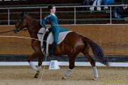 Pferd International 2026: Voltigieren