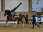Pferd International 2026: Voltigieren