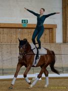 Pferd International 2026: Voltigieren