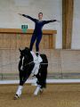 Pferd International 2026: Voltigieren