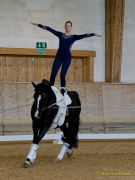 Pferd International 2026: Voltigieren
