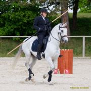 Pferd International 2026: Preis des FRB e.V.
Stil-Trial