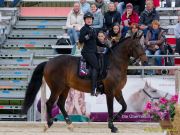 Pferd International 2026: Preis des FRB e.V.
Stil-Trial
