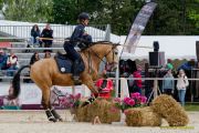 Pferd International 2026: Preis des FRB e.V.
Stil-Trial