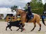 Pferd International 2026: Preis des FRB e.V.
Stil-Trial