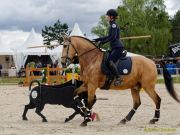 Pferd International 2026: Preis des FRB e.V.
Stil-Trial
