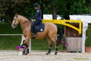 Pferd International 2026: Preis des FRB e.V.
Stil-Trial