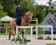 Pferd International 2026: Preis des FRB e.V.
Stil-Trial