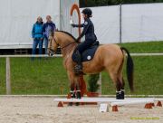 Pferd International 2026: Preis des FRB e.V.
Stil-Trial