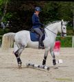 Pferd International 2026: Preis des FRB e.V.
Stil-Trial