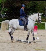 Pferd International 2026: Preis des FRB e.V.
Stil-Trial