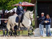 Pferd International 2026: Preis des FRB e.V.
Stil-Trial