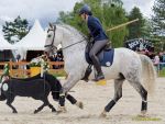Pferd International 2026: Preis des FRB e.V.
Stil-Trial