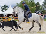 Pferd International 2026: Preis des FRB e.V.
Stil-Trial
