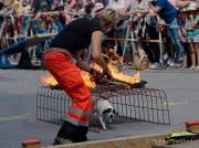 d180616-144827-210-100-polizeipraesidium-muc-tag_der_offenen_tuer-rettungshundestaffel