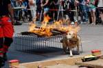 d180616-144857-810-100-polizeipraesidium-muc-tag_der_offenen_tuer-rettungshundestaffel