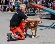 d180616-145123-740-100-polizeipraesidium-muc-tag_der_offenen_tuer-rettungshundestaffel