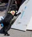 d180616-145601-930-100-polizeipraesidium-muc-tag_der_offenen_tuer-rettungshundestaffel