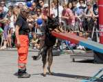d180616-145835-580-100-polizeipraesidium-muc-tag_der_offenen_tuer-rettungshundestaffel