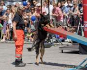 d180616-145835-580-100-polizeipraesidium-muc-tag_der_offenen_tuer-rettungshundestaffel