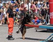 d180616-145835-990-100-polizeipraesidium-muc-tag_der_offenen_tuer-rettungshundestaffel