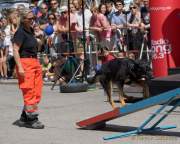d180616-145836-850-100-polizeipraesidium-muc-tag_der_offenen_tuer-rettungshundestaffel